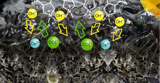 Highly alkaline Hydrogels for Re-Alkalisation